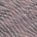 Desktop Pattern Starfishx Random Set 2 128x128 - 30