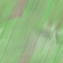 Desktop Pattern Starfishx Random Set 2 128x128 - 146