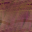 Desktop Pattern Starfishx Random Set 2 32x32 - 29