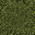 Desktop Pattern Starfishx Random Set 2 32x32 - 96