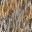 Desktop Pattern Starfishx Random Set 2 32x32 - 169