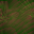 Desktop Pattern Starfishx Random Set 2 32x32 - 176