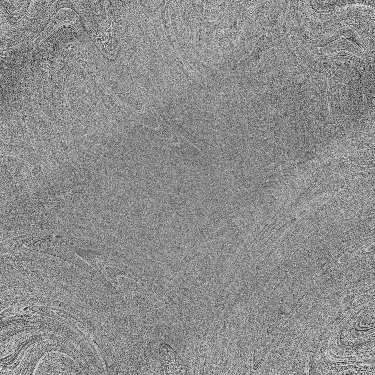 Desktop Pattern Starfishx Random Set 2 375x375 - 85