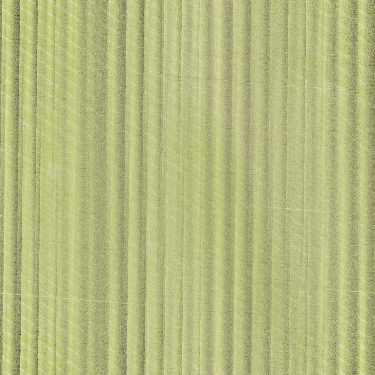 Desktop Pattern Starfishx Random Set 2 375x375 - 134