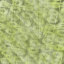 Desktop Pattern Starfishx Random Set 2 64x64 - 6