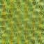 Desktop Pattern Starfishx Random Set 2 64x64 - 16