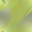 Desktop Pattern Starfishx Random Set 2 64x64 - 52