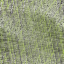 Desktop Pattern Starfishx Random Set 2 64x64 - 71