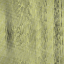 Desktop Pattern Starfishx Random Set 2 64x64 - 72
