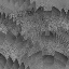Desktop Pattern Starfishx Random Set 2 64x64 - 81