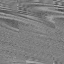 Desktop Pattern Starfishx Random Set 2 64x64 - 124