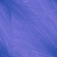 Desktop Pattern Starfishx Random Set 2 64x64 - 166