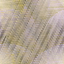 Desktop Pattern Starfishx Random Set 2 64x64 - 181