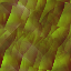 Desktop Pattern Starfishx Random Set 2 64x64 - 198