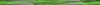 Desktop Pattern Starfishx Random Set 3 100x5 - 5