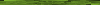 Desktop Pattern Starfishx Random Set 3 100x5 - 70