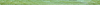 Desktop Pattern Starfishx Random Set 3 100x5 - 95