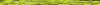 Desktop Pattern Starfishx Random Set 3 100x5 - 101