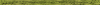 Desktop Pattern Starfishx Random Set 3 100x5 - 197