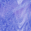 Desktop Pattern Starfishx Random Set 3 64x64 - 4