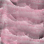 Desktop Pattern Starfishx Random Set 3 64x64 - 5