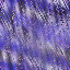 Desktop Pattern Starfishx Random Set 3 64x64 - 15