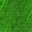 Desktop Pattern Starfishx Random Set 3 64x64 - 27