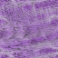 Desktop Pattern Starfishx Random Set 3 64x64 - 41