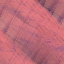 Desktop Pattern Starfishx Random Set 3 64x64 - 48
