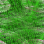 Desktop Pattern Starfishx Random Set 3 64x64 - 59