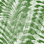 Desktop Pattern Starfishx Random Set 3 64x64 - 76