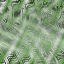 Desktop Pattern Starfishx Random Set 3 64x64 - 83
