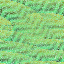 Desktop Pattern Starfishx Random Set 3 64x64 - 89