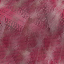 Desktop Pattern Starfishx Random Set 3 64x64 - 122