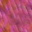 Desktop Pattern Starfishx Random Set 3 64x64 - 127