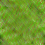 Desktop Pattern Starfishx Random Set 3 64x64 - 129