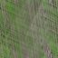 Desktop Pattern Starfishx Random Set 3 64x64 - 139