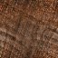 Desktop Pattern Starfishx Random Set 3 64x64 - 146