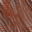Desktop Pattern Starfishx Random Set 3 64x64 - 153