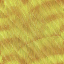 Desktop Pattern Starfishx Random Set 3 64x64 - 157