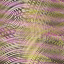 Desktop Pattern Starfishx Random Set 3 64x64 - 169