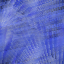 Desktop Pattern Starfishx Random Set 3 64x64 - 177