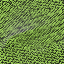 Desktop Pattern Starfishx Random Set 3 64x64 - 180