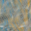 Desktop Pattern Starfishx Random Set 3 64x64 - 190