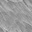 Desktop Pattern Starfishx Random Set 3 64x64 - 193