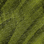 Desktop Pattern Starfishx Random Set 3 64x64 - 197