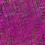 Desktop Pattern Starfishx Random Set 3 64x64 - 200