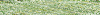 Desktop Pattern Starfishx Random Set 4 100x15 - 38