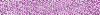 Desktop Pattern Starfishx Random Set 4 100x15 - 48