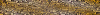 Desktop Pattern Starfishx Random Set 4 100x15 - 114